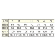 画像をギャラリービューアに読み込む, サイズ表